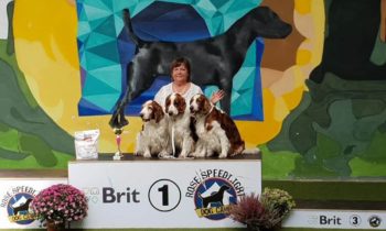 Fantastic day. Regional Dog Show Pezinok