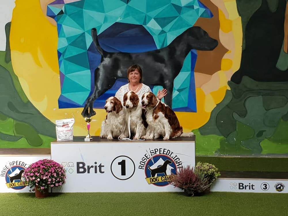 8.9.2018 Fantastic day. Regional dog show Pezinok