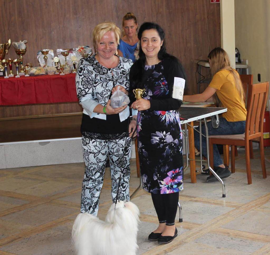 23.9.2018 Špeciálna výstava maltézských psov SPECIAL CUP Kamenný mlyn