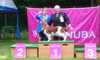 Club and Specialty Show Göttingen
