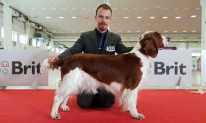 GRAND PRIX SLOVAKIA 2018 . NITRA 9.6.2018