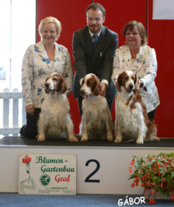 14.7.2018 IHA CACIB OBERWART/A