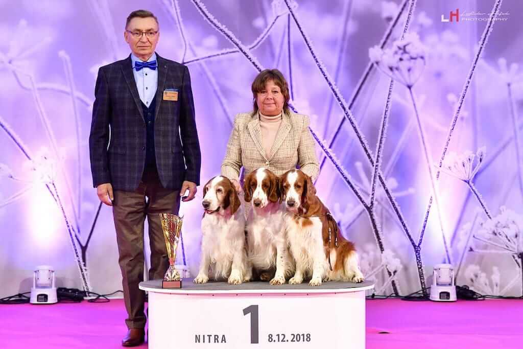 Winner-show-Nitra-2018