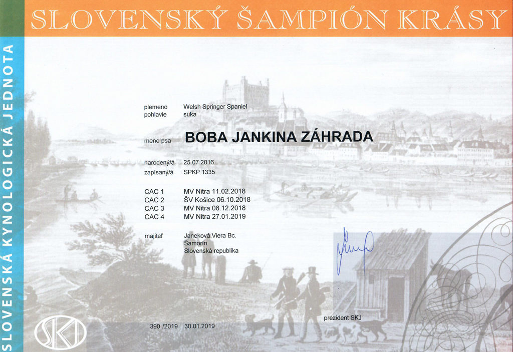 BOBA je Slovenský šampión krásy