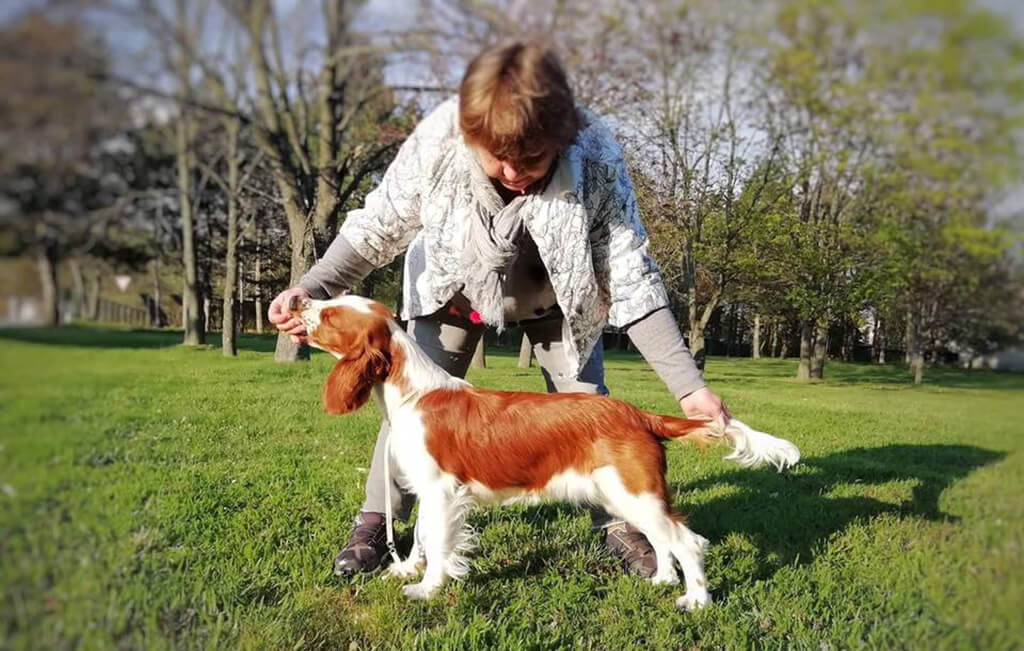 20.04.2019 IDS PRAGUE DOG SHOW Carolinka BENTON California Strom