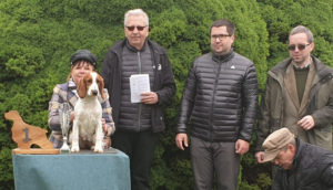 BENTON California Storm, BIS I.