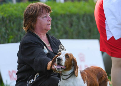 17.08.2019 DUODANUBE CACIB Bratislava Posudzova17.08.2019 DUODANUBE CACIB Bratislava Posudzovateľ: Viera Vítková