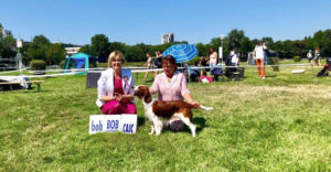 18.08.2019 DUODANUBE CACIB Bratislava