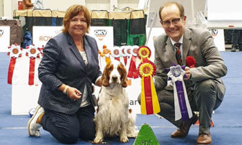 Crufts Qualification Tulln 2019