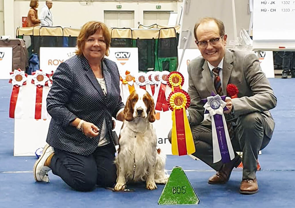 28.9.2019 IHA Tulln /Crufts Qualification/