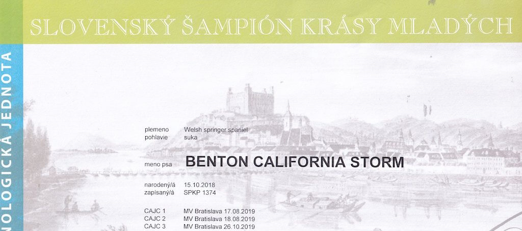 BENTON California Strom "Carolinka" SLOVENSKÝ ŠAMPIÓN KRÁSY MLADÝCH