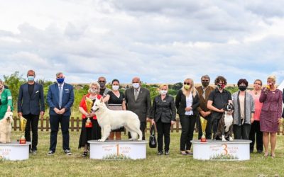 Posudzovanie Summer Cup Nitra 2020