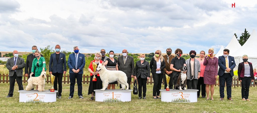 judging VII. – VIII. FCI International Dog Show Summer Cup Nitra  17.-19.07.2020