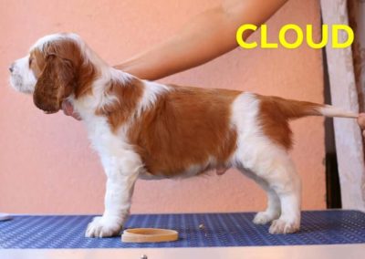Cloud Jankina záhrada