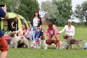 18.07.2021 Veľké Úľany Klubová výstava KCHPS/