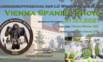 Vienna Winner Spaniel Show