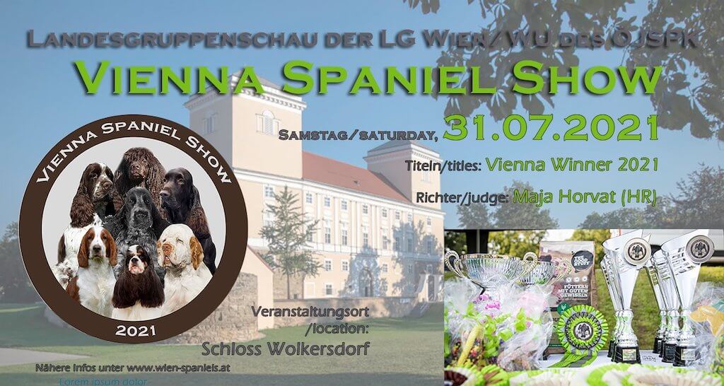 31.07.2021 LGS Wolkersdorf  VIENNA WINNER SPANIEL SHOW judge: Maja Horvat     BENTON California Storm CAROLINKA exc.1, CACA, BOB, VIENNA WINNER