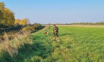 Autumn hunting exams of retrievers
