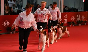 Dog Expo Nitra 2022