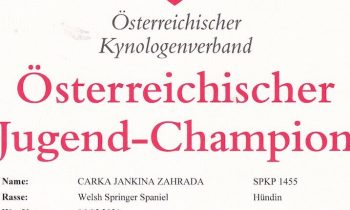 CARKA Rakúsky Junior šampión
