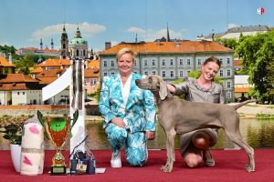 TRIOCACIB PRAGUE EXPO DOG 5.- 7.8.2022