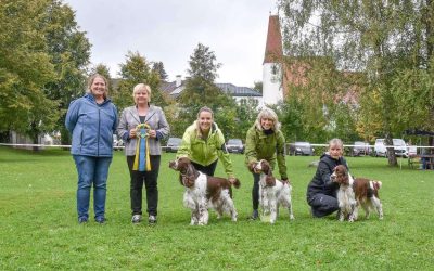 Jagdspaniel Klub Schloss Zeilern