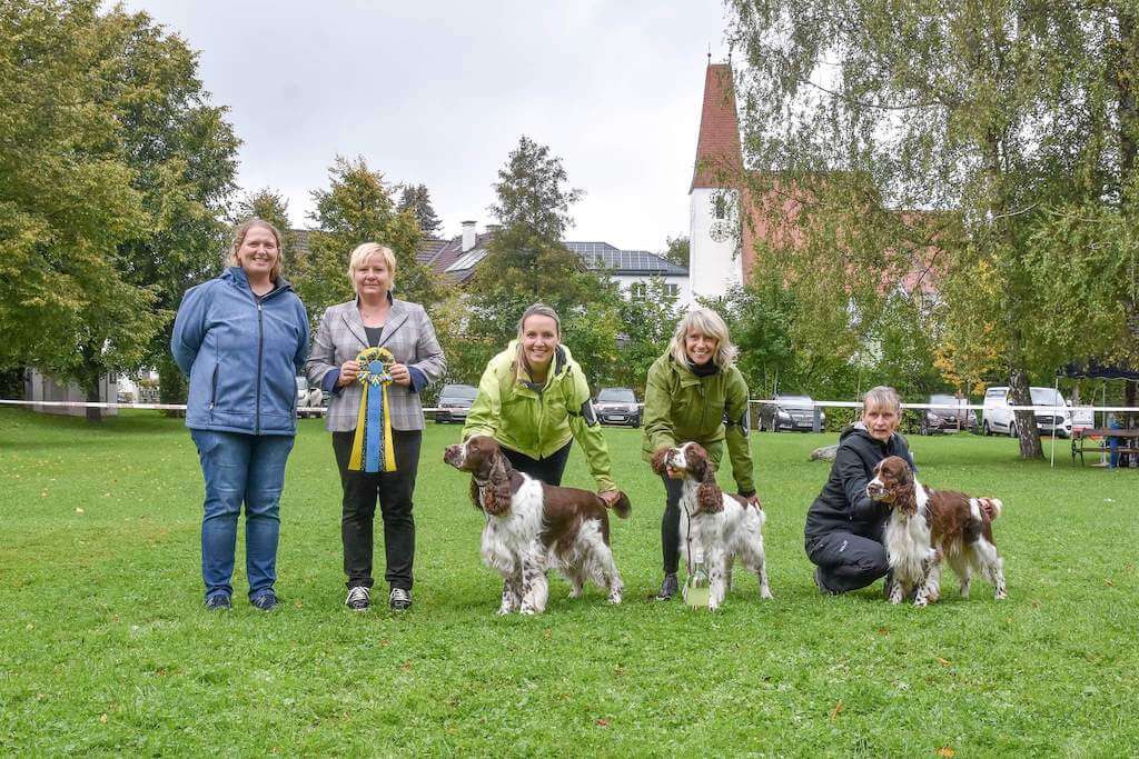 Jagdspaniel Klub Schloss Zeilern