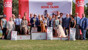 Szekesfehérvár -Agárd