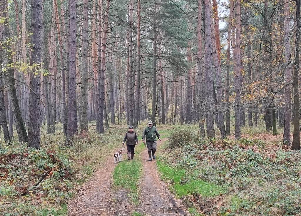 Klubové Všestranné skúšky retrieverov a malých plemien v Borskom Mikuláši.