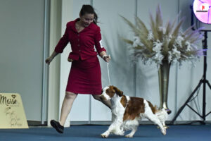 CLOUD Jankina zahrada