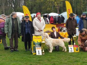 Szent Hubertus Hunting Dog Show CAC KAPOSVÁR/HU  8.4.2023