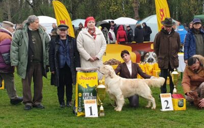 Szent Hubertus Hunting Dog Show