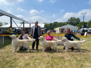 MAJ-2023-CACIB-PAPA-HU