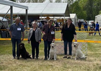 6.-7.5.2023 CACIB PÁPA/HU My judging