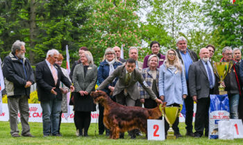 My judging Lučenec 2023