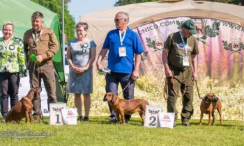 Judging Specialty Show Kestřany