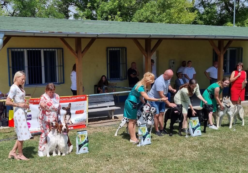 29.07.2023 Žitnoostrovská oblastná výstava psov - Povoda 2023