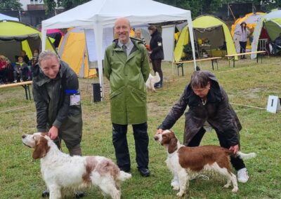 05.08.2023 Vienna Spaniel Show 2023