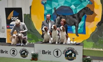 Regional Dog Show Pezinok 2023