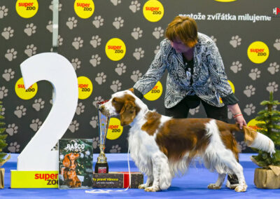 CLOUD Jankina zahrada - CAC, Národní vítez, BOB, BEST IN GROUP FCI VIII. 2 miesto/2 pl.