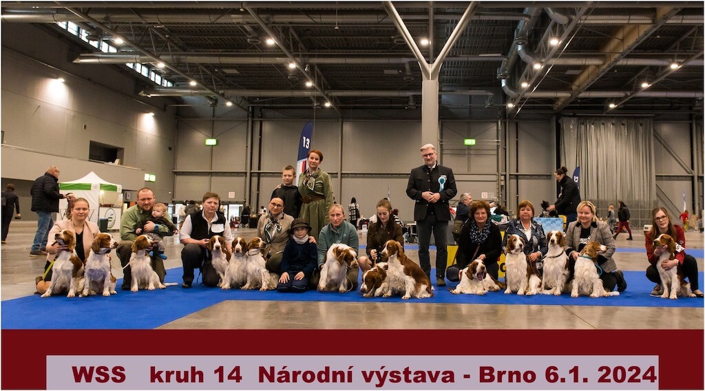 Národná výstava psov v Brne 06.01.2024