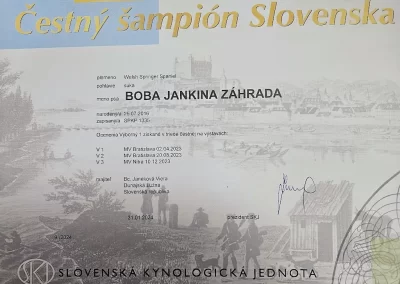 Boba Čestný šampión Slovenska