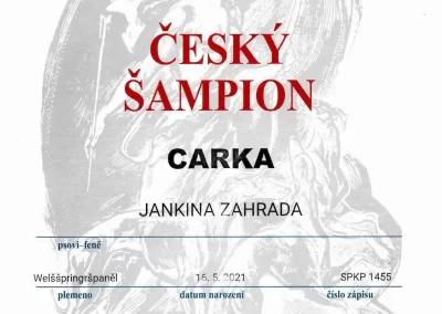 CARKA Český šampión