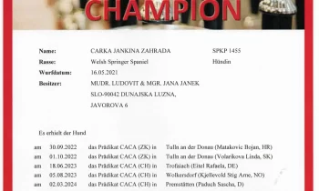 Carka austrian champion