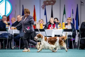 Nitra CARNIVAL CUP 2025