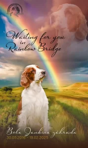 parte Boba Jankina zahrada