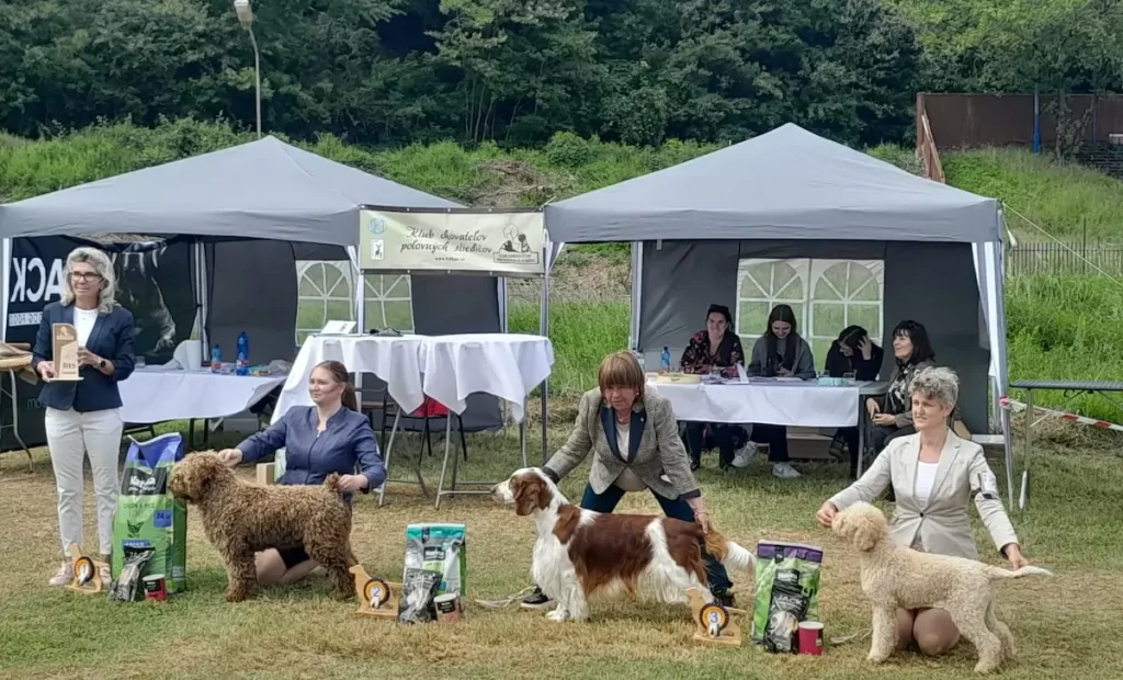 24.5.2025 Klubová výstava KCHPS