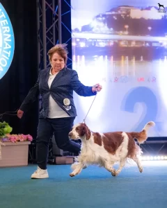 28.2.2025 Národná výstava