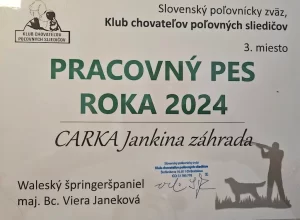 Pracovný pes roka 2024