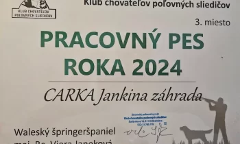 Pracovný pes roka 2024